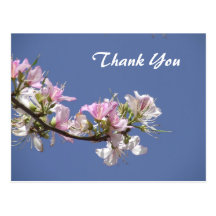 White Pink Flowers Thank You Postcard