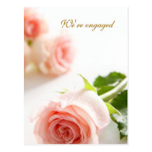 White pink rose Engagement Announcement Postcards