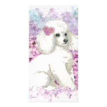 White Poodle in the Lilacs Art and Gifts Personalized Photo Card