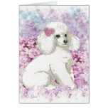 White Poodle in the Lilacs Art Print Card