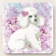 White Poodle in the Lilacs Beverage Coasters