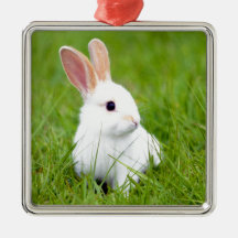 White Rabbit Christmas Ornaments