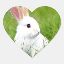 White Rabbit Heart Sticker