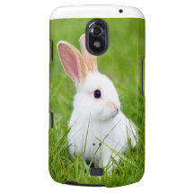 White Rabbit Samsung Galaxy Nexus Covers