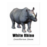 White Rhino Postcards