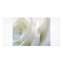 White Rose Customised Photo Card