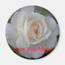 White Rose Fridge Magnets