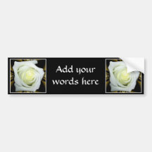 White Rose on Black and Gold Background Bumper Stickers