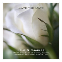 White Rose • Save the Date Announcement
