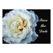 White Rose Save the Date Card Announcements