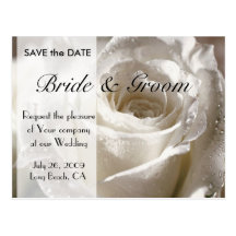 White rose SAVE the DATE - Customised Post Card