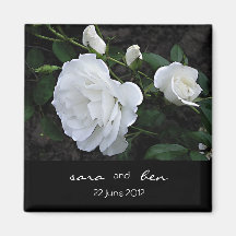 white Rose Save the Date Magnet