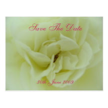 White Rose Save The Date Postcard