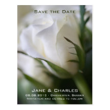 White Rose • Save the Date Postcard