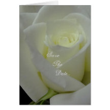 White Rose "Save The Date" Wedding Cards
