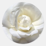 White Rose Stickers