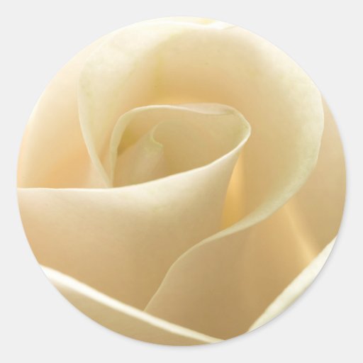 White Rose stickers