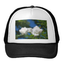 White Roses Hat