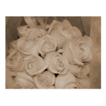 White Roses in Sepia Postcards