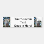 White saanen dairy goat doe nose close up HI Bumper Sticker