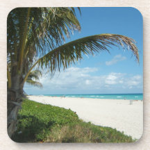 White Sand Beach w/Palm Beverage Coasters