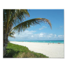 White Sand Beach w/Palm Photo