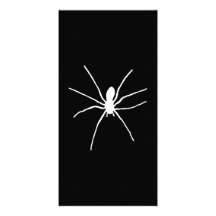 White Spider Picture Card
