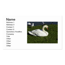 White Swan Business Card Templates