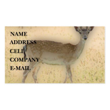 'White-tail Grazing' Business Card Templates