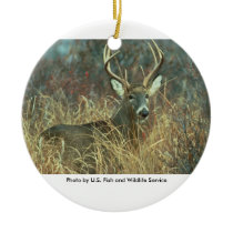 White-tailed Buck Deer ornaments