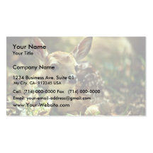 White-tailed Deer Fawn Business Cards