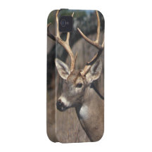 White-Tailed Deer - iPhone 4 Cover