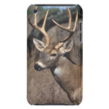 White-Tailed Deer - iPod Touch Cover
