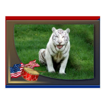 White Tiger Patriotic Postcard