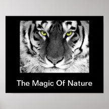 White Tiger Poster