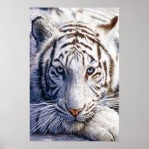White Tiger Poster