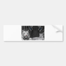 White Tigers Bumper Stickers
