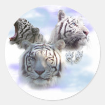 White Tigers Round Sticker