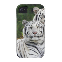 White Tigers Vibe iPhone 4 Cover
