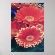 White Tipped Flowers Posters