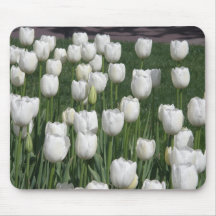White Tulips Mousepads