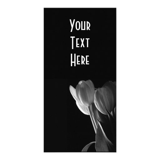 White Tulips Photo On Black Background Photo Card