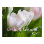 White Tulips • RSVP Postcard