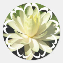 White Water Lily Sticker