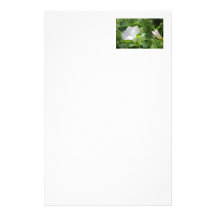 White Wildflower Stationery Design