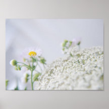 white wildflowers print