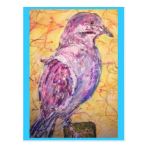 White-winged Dove art Postcards