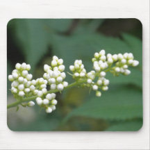 White Wonder Mousepads