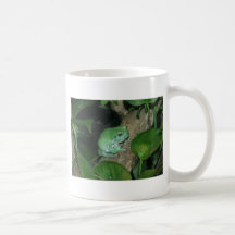 White's Tree Frog, Dumpy Frog Coffee Mug