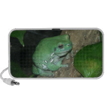 White's Tree Frog, Dumpy Frog Travelling Speakers